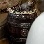 Hobbita Z Jaskinia - Osada Jaworzyny Tokarnia (Lesser Poland)