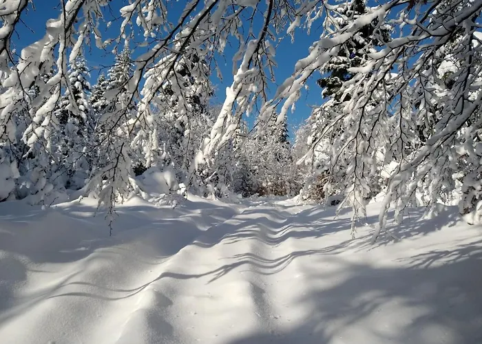 Domek alpejski Osada Jaworzyny - Hobbita Z Jaskinią Tokarnia (Lesser Poland)